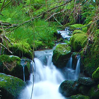 Conservación e Protección do Medio Ambiente